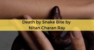 Death by Snake Bite by Nitan Charan Ray