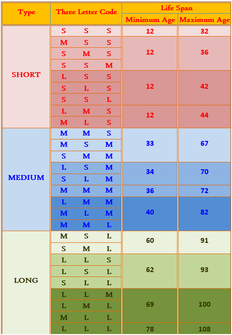 Chart 21